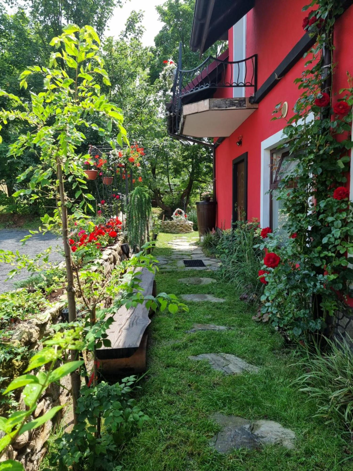 Apartamenty U Bodzia สโตรเนีย ชล็องสเกีย ภายนอก รูปภาพ